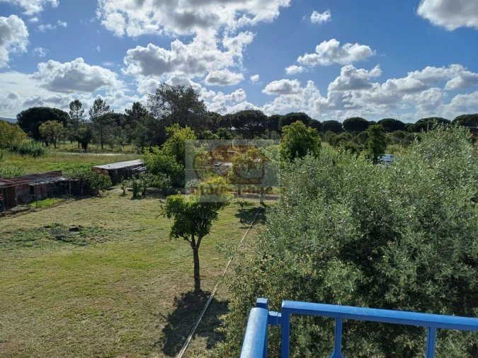 Quinta T6 para Venda em Grândola e Santa Margarida da Serra Foto 11