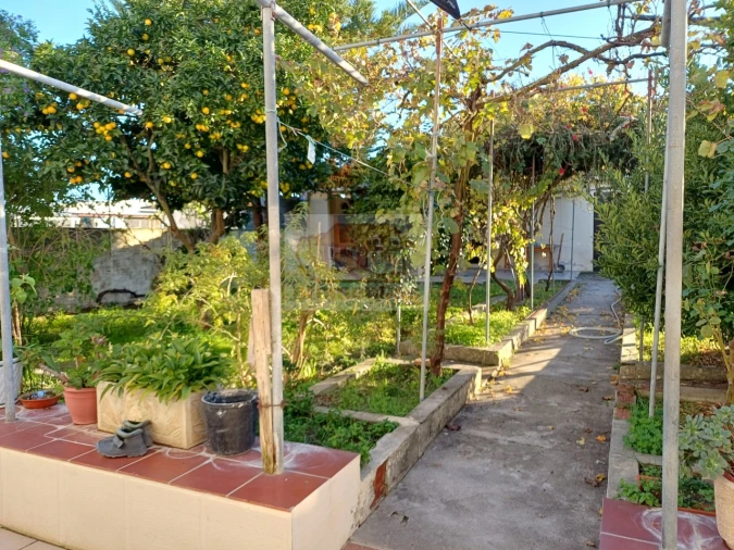 Quinta T7 para Venda em Grândola e Santa Margarida da Serra Foto 2