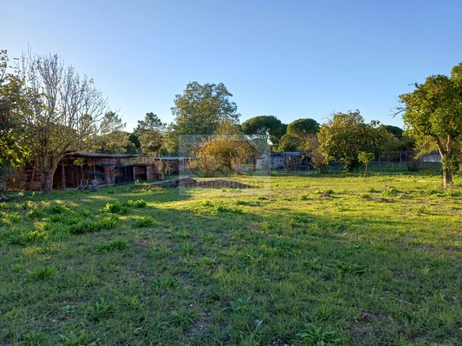 Quinta T7 para Venda em Grândola e Santa Margarida da Serra Foto 25