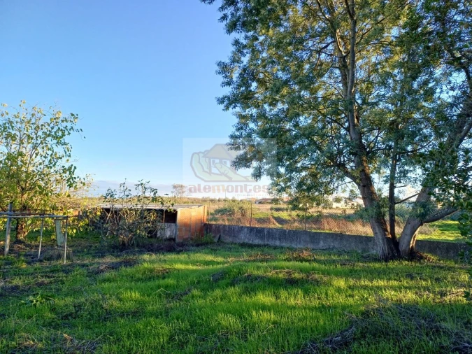 Quinta T7 para Venda em Grândola e Santa Margarida da Serra Foto 23