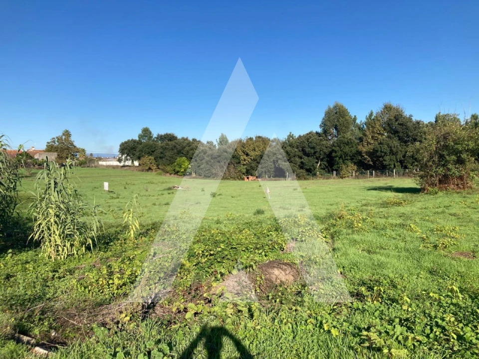 Terreno para Venda em Oliveira do Bairro Foto 1