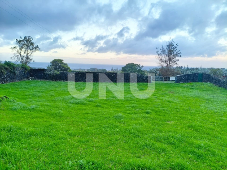 Terreno Agricola ou Rústico para Venda em São Vicente Ferreira Foto 4