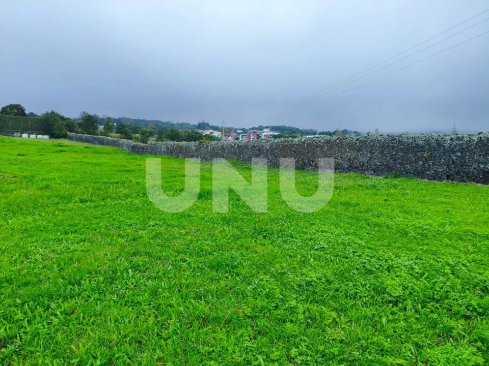 Terreno Agricola ou Rústico para Venda em São Vicente Ferreira Foto 5