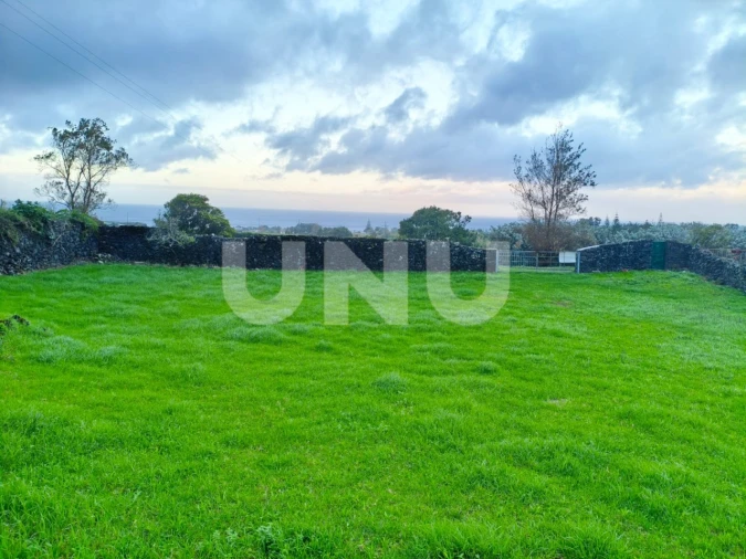 Terreno Agricola ou Rústico para Venda em São Vicente Ferreira Foto 4