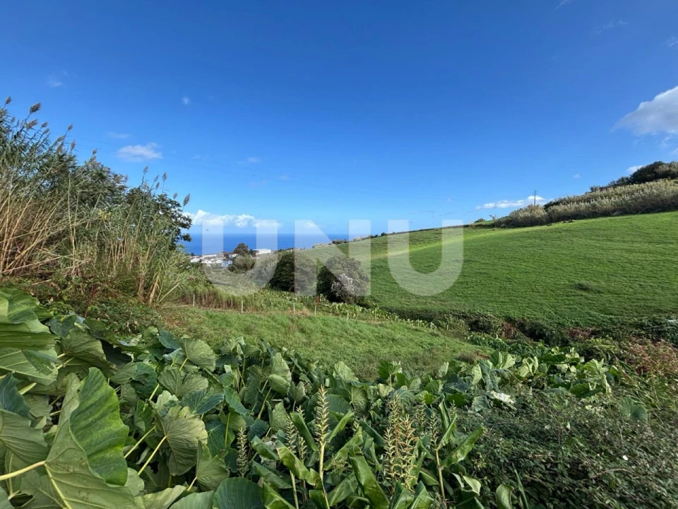Terreno Agricola ou Rústico para Venda em Sao Pedro de Nordestinho Foto 6