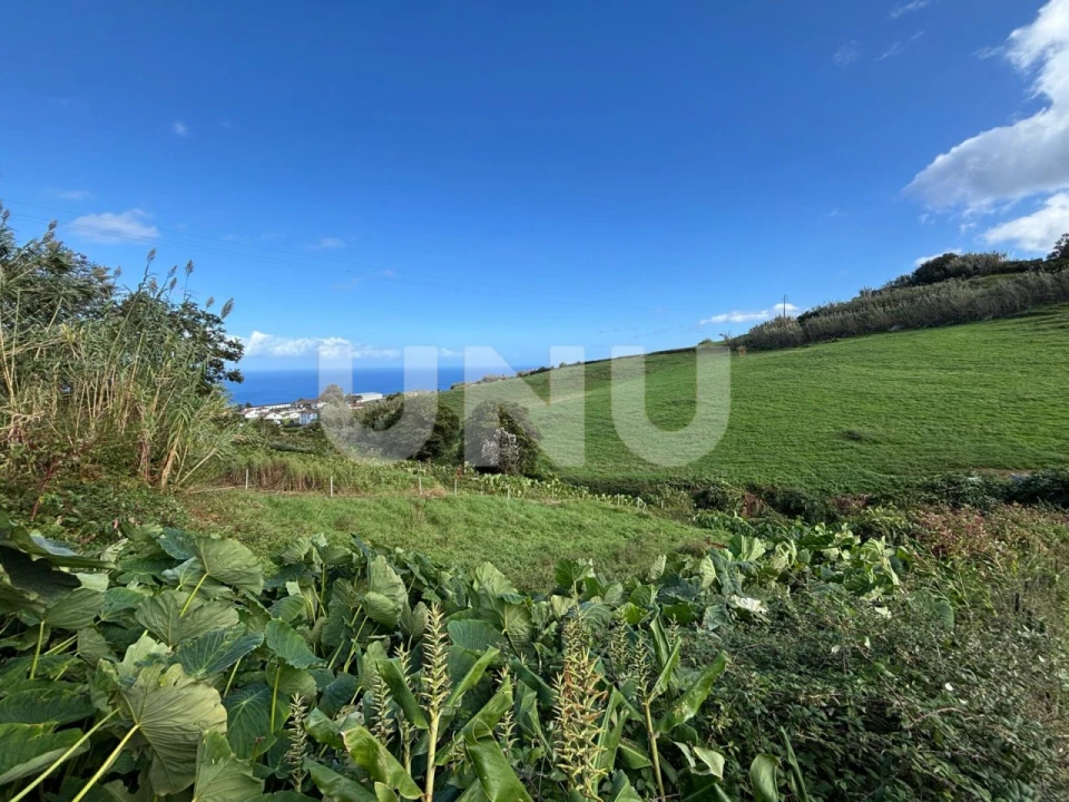 Terreno Agricola ou Rústico para Venda em Sao Pedro de Nordestinho Foto 7