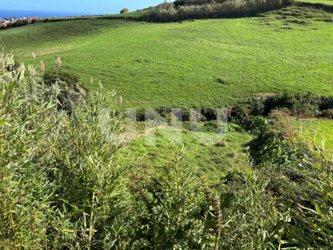 Terreno Agricola ou Rústico para Venda em Sao Pedro de Nordestinho Foto 4