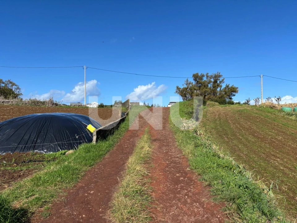 Terreno Agricola ou Rústico para Venda em Lomba da Fazenda Foto 4