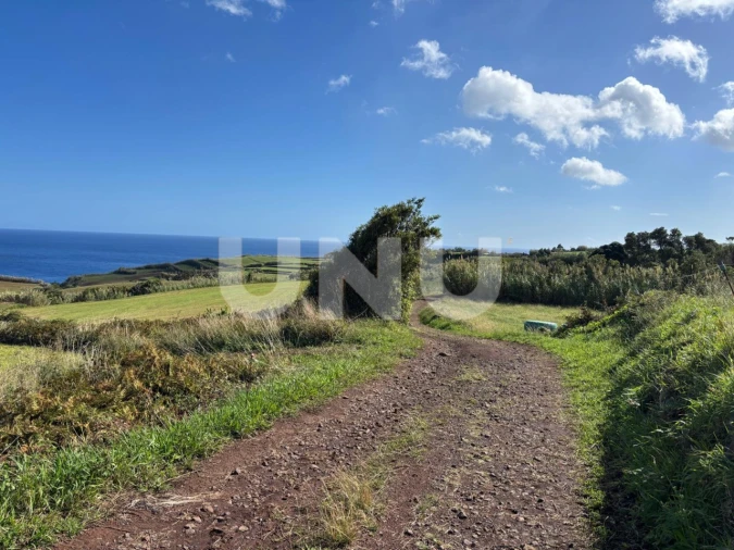 Terreno Agricola ou Rústico para Venda em Lomba da Fazenda Foto 3