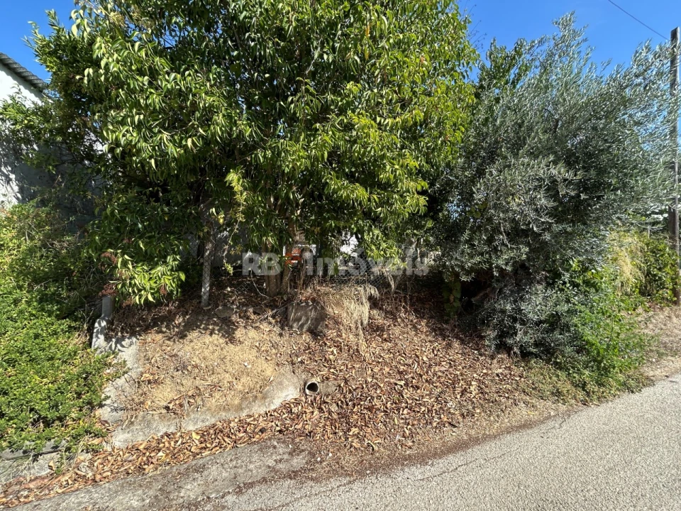 Moradia T2 para Venda em Paialvo Foto 26