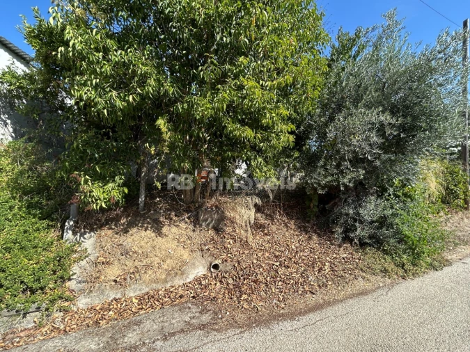 Moradia T2 para Venda em Paialvo Foto 26