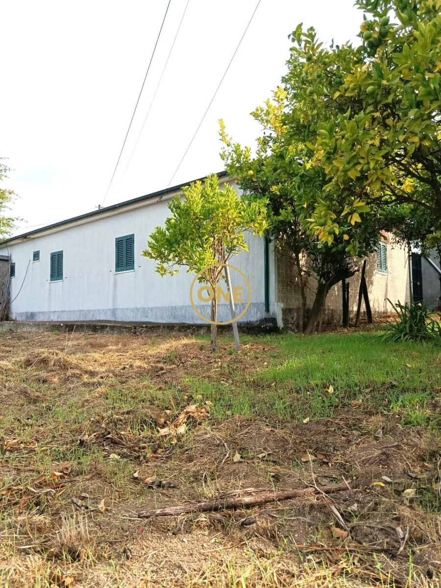 Moradia T3 para Venda em Lagares e Figueira Foto 7