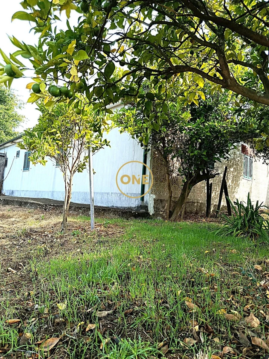 Moradia T3 para Venda em Lagares e Figueira Foto 8