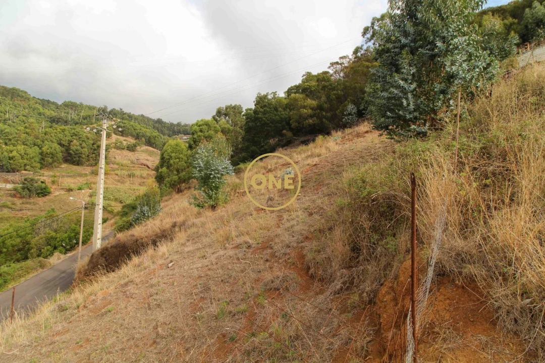 Terreno para Venda em Caniço Foto 4