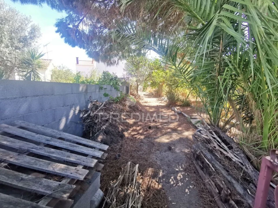 Moradia T3 para Venda em Vila Nova da Barquinha Foto 6