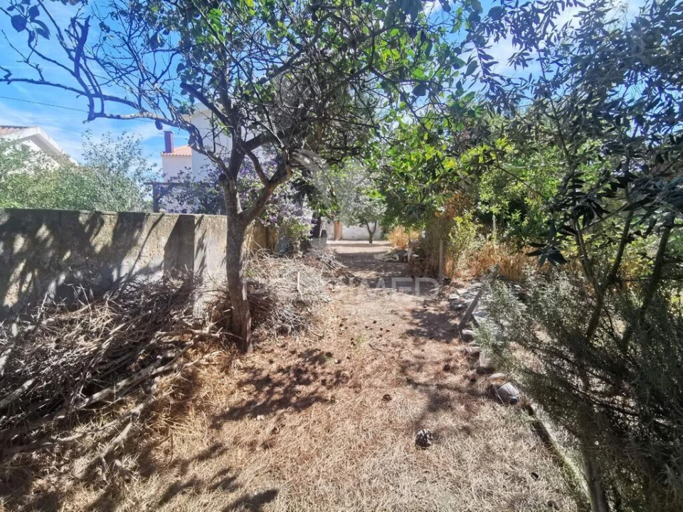 Moradia T3 para Venda em Vila Nova da Barquinha Foto 5