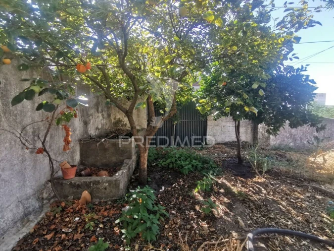 Moradia T7 para Venda em Golegã Foto 12