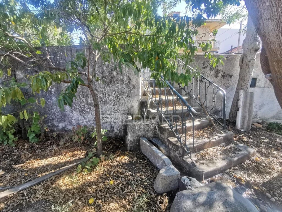 Moradia T7 para Venda em Golegã Foto 10