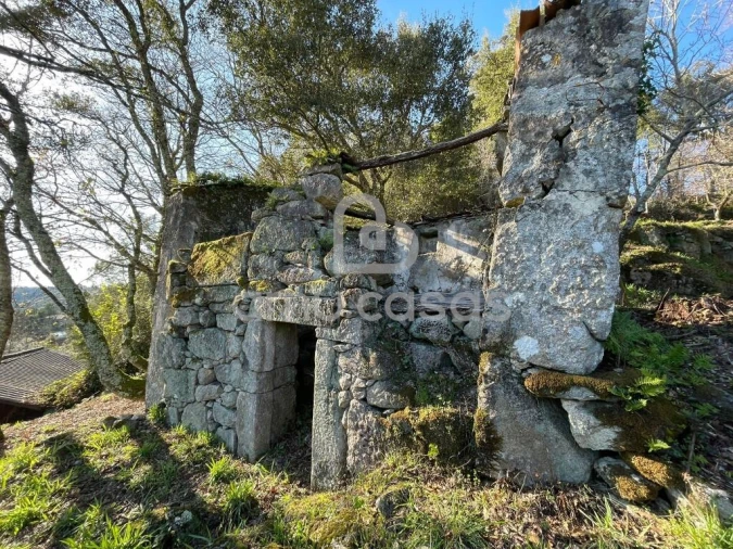 Quinta T4 para Venda em Sever do Vouga Foto 6