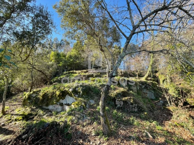 Quinta T4 para Venda em Sever do Vouga Foto 12