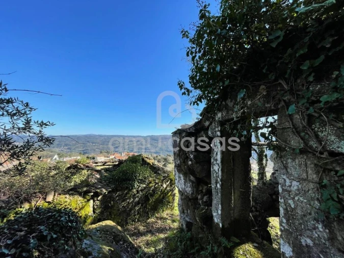 Quinta T4 para Venda em Sever do Vouga Foto 4