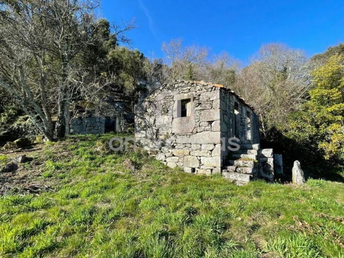 Quinta T4 para Venda em Sever do Vouga Foto 3