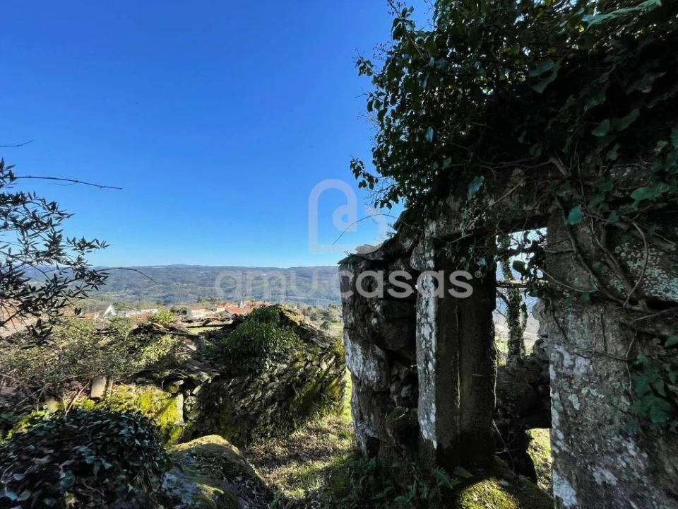 Quinta T4 para Venda em Sever do Vouga Foto 4