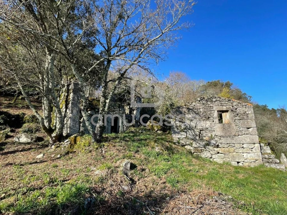 Quinta T4 para Venda em Sever do Vouga Foto 7