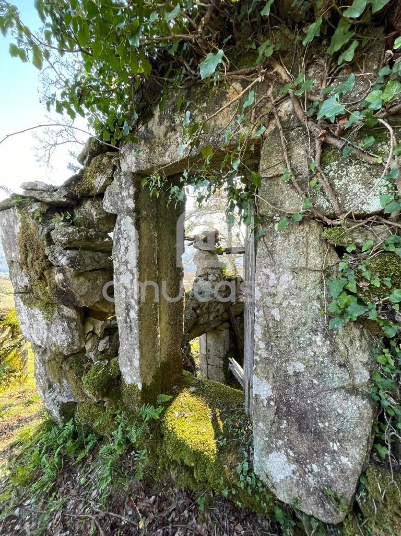 Quinta T4 para Venda em Sever do Vouga Foto 5