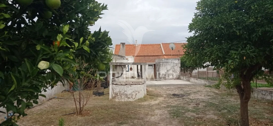 Moradia T1 para Venda em Couço Foto 18