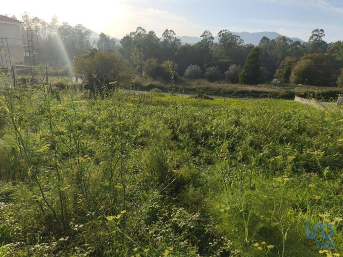 Terreno para Venda em Santa Maria Maior e Monserrate e Meadela Foto 5