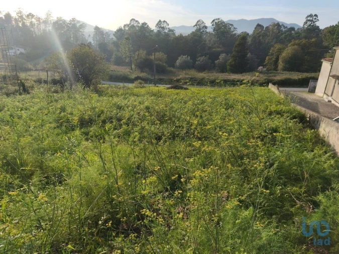 Terreno para Venda em Santa Maria Maior e Monserrate e Meadela Foto 6