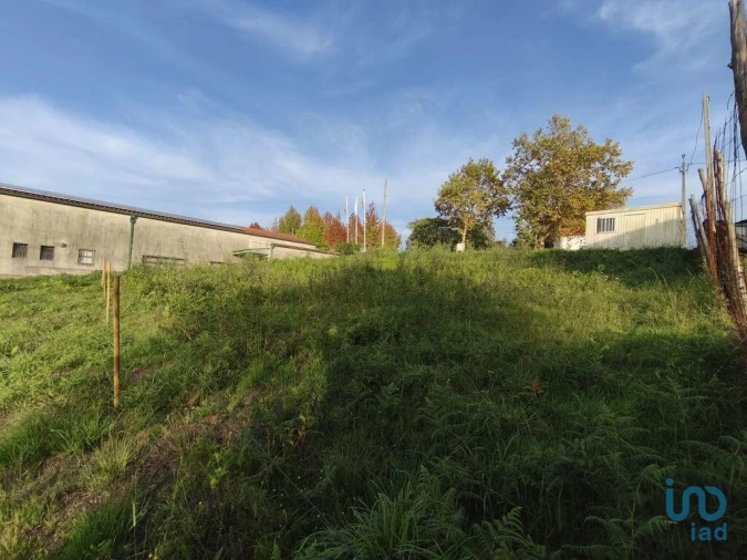 Terreno para Venda em Santa Maria Maior e Monserrate e Meadela Foto 2