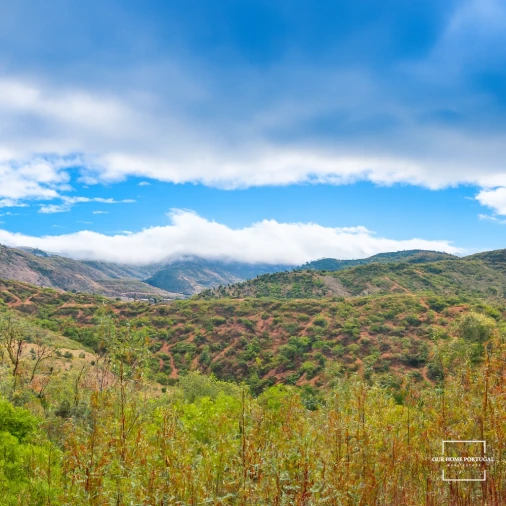 Moradia T3 para Venda em Salir Foto 1