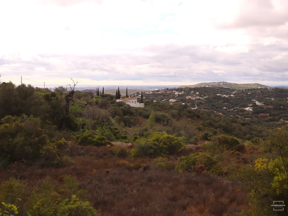 Terreno para Venda em Loule (São Sebastião) Foto 21
