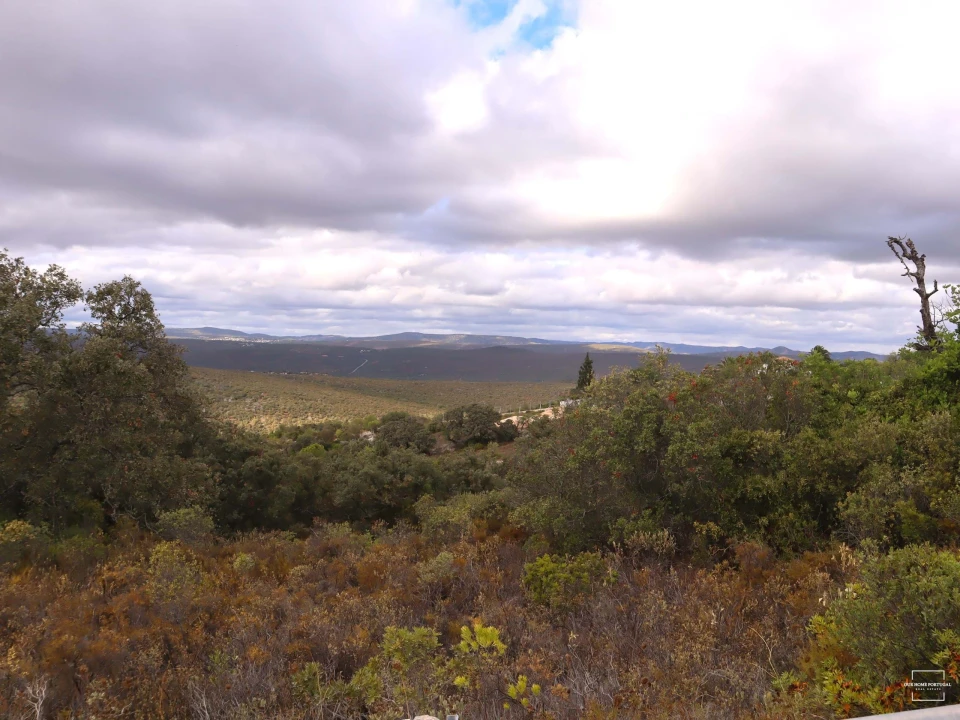 Terreno para Venda em Loule (São Sebastião) Foto 2