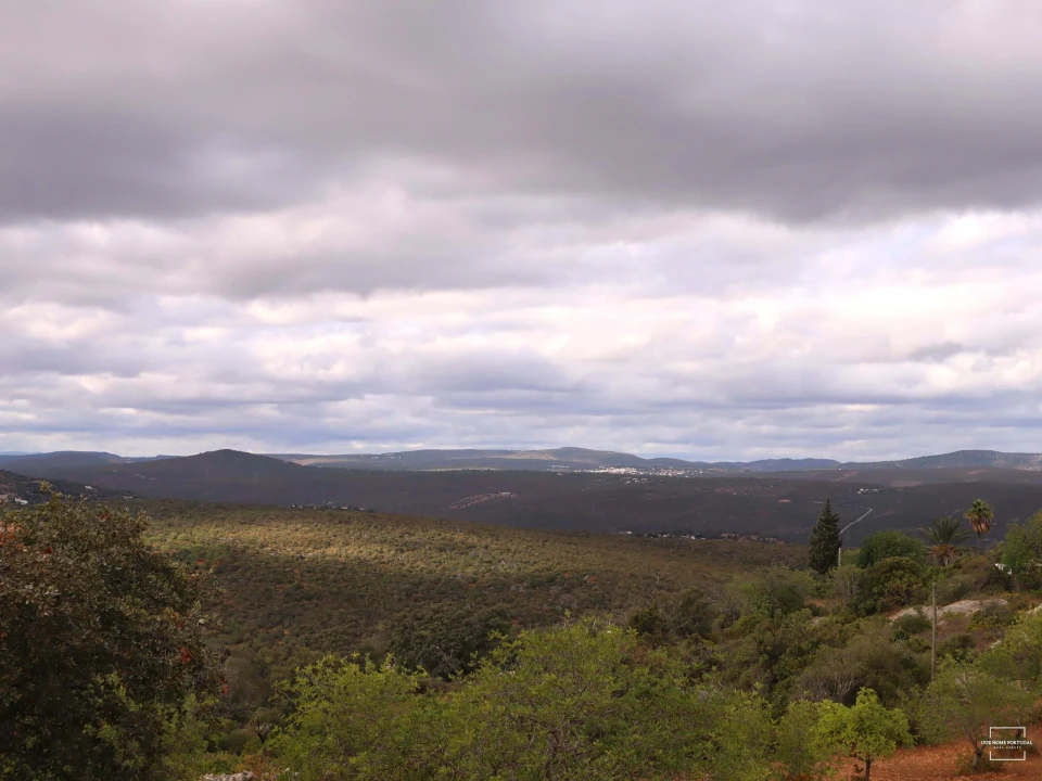 Terreno para Venda em Loule (São Sebastião) Foto 5