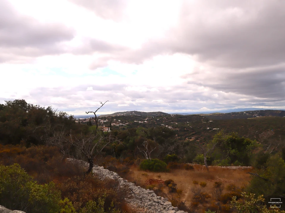 Terreno para Venda em Loule (São Sebastião) Foto 8