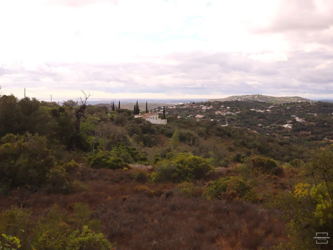 Terreno para Venda em Loule (São Sebastião) Foto 21