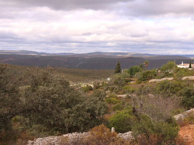 Terreno para Venda em Loule (São Sebastião) Foto 3