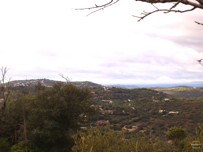 Terreno para Venda em Loule (São Sebastião) Foto 7