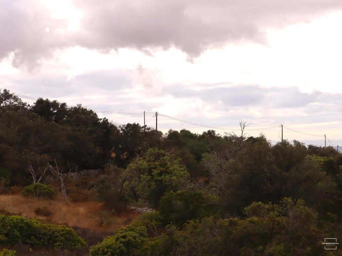 Terreno para Venda em Loule (São Sebastião) Foto 20