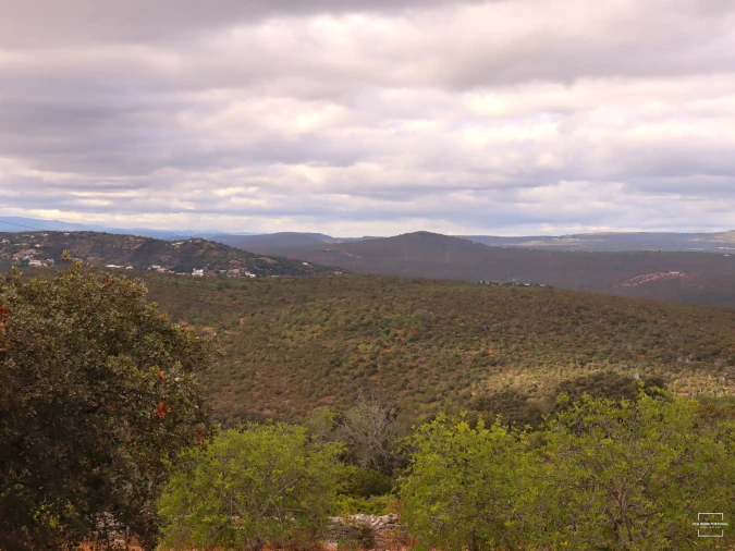 Terreno para Venda em Loule (São Sebastião) Foto 4
