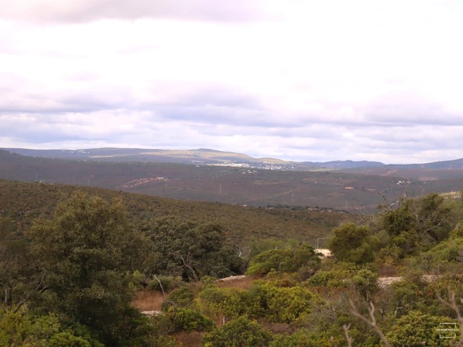 Terreno para Venda em Loule (São Sebastião)