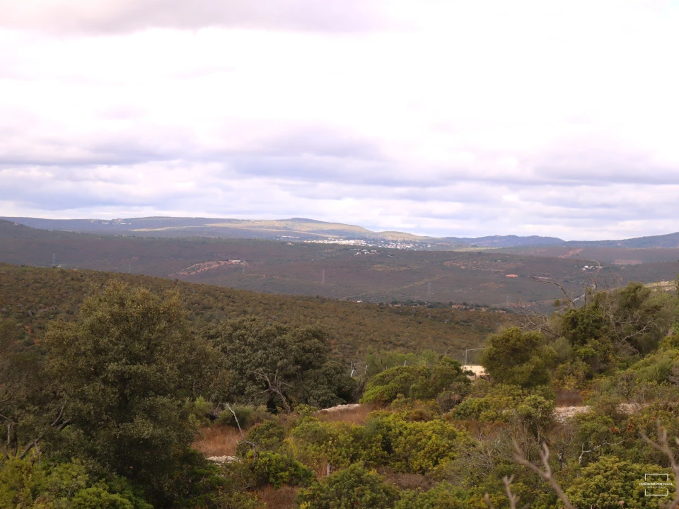 Terreno para Venda em Loule (São Sebastião) Foto 1