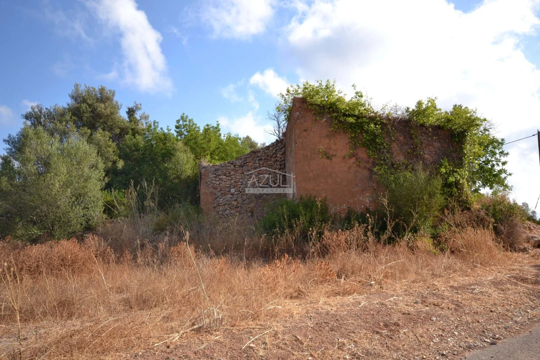 Terreno para Venda em Loule (São Clemente) Foto 2