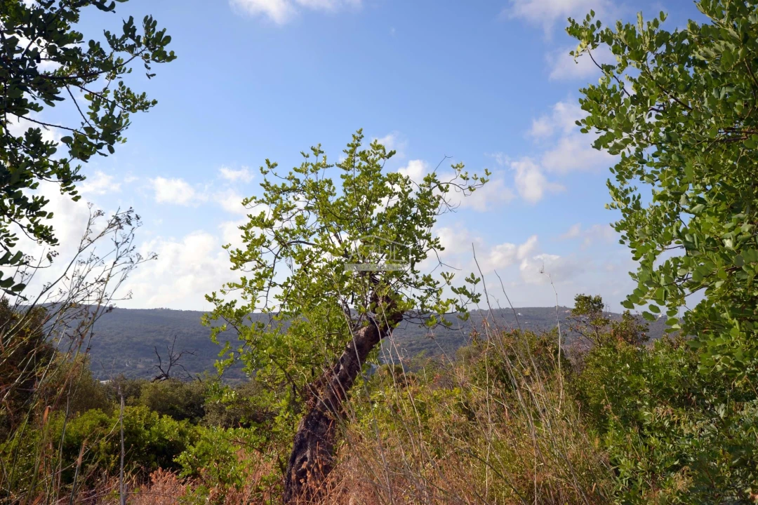 Terreno para Venda em Loule (São Clemente) Foto 7