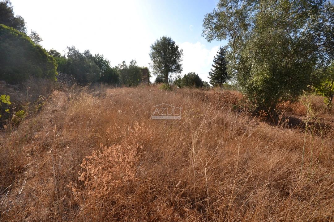 Terreno para Venda em Loule (São Clemente) Foto 18