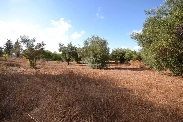 Terreno para Venda em Loule (São Clemente) Foto 15