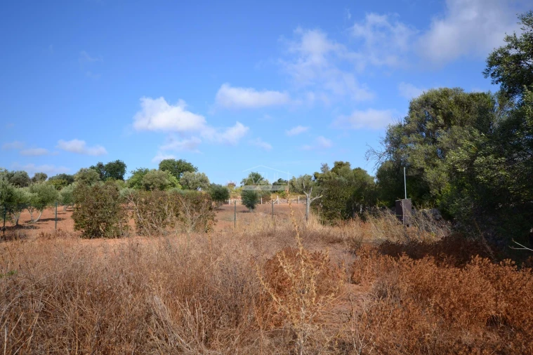 Terreno para Venda em Loule (São Clemente) Foto 11